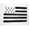 Flag - Az Flag - Brittany - 45x30cm - Polyester - Outdoor