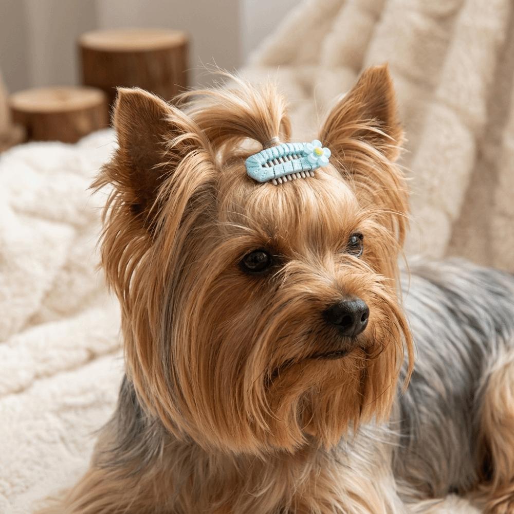 10Pcs Light Weight Dog Hair Clip Mixed Colors Dog Bow Clip Pet Head Flower Daily Wear
