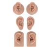 3 Pairs Silicone Ear Model Soft Flexible Simulation Human Ear Model for Piercing Practice Jewelry Display