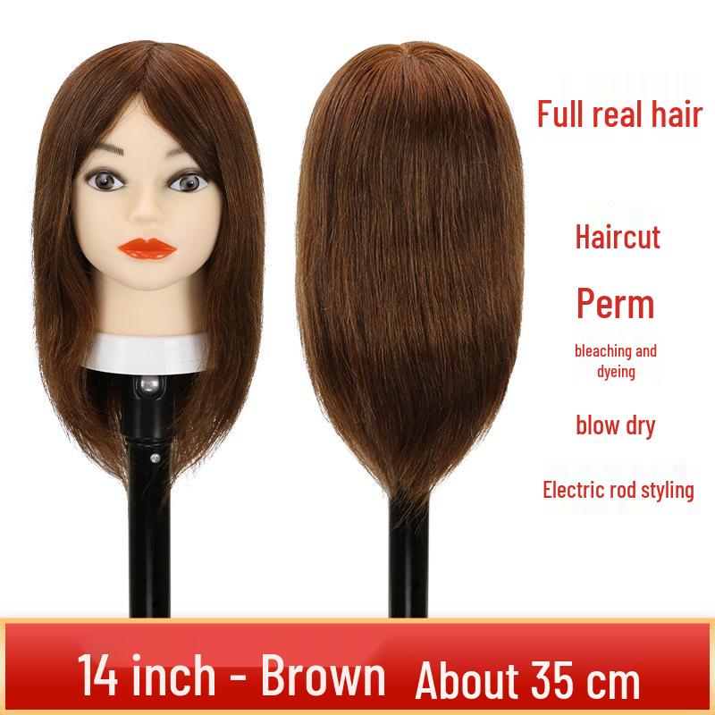 Real Hair Mannequin Head for Hairdressing: Perfect for Barber Apprentices, Perming, Dyeing, Cutting, Blowing, and Styling.