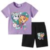 PAW Patrol Summer Cartoon Printed Boys Girls Tshirt Sets Children's Casual Shorts 2 Piece Sets Kids Tracksuits Sport Suits