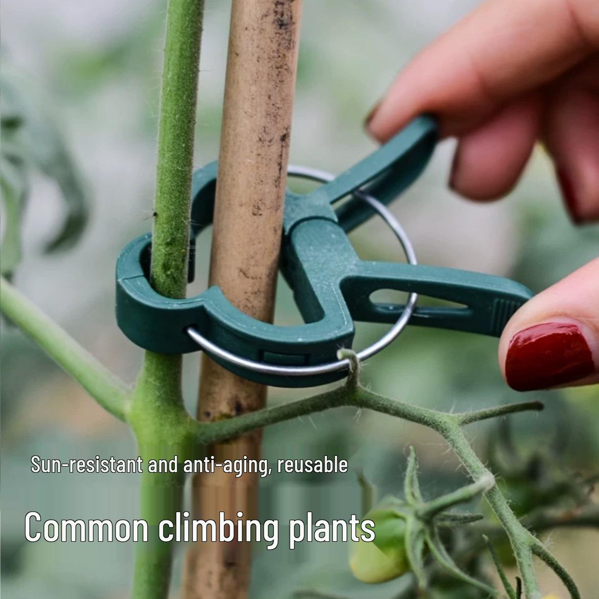 

Large Green Climbing Plant Clips for Vines and Branches Small Spring Clip [Green, 10 pcs]
