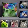 Funny Silly Cat Meme Pillow Case Square DoubleSided Printing Sofa Cushion Cover Pillowcase Bedroom Bedside