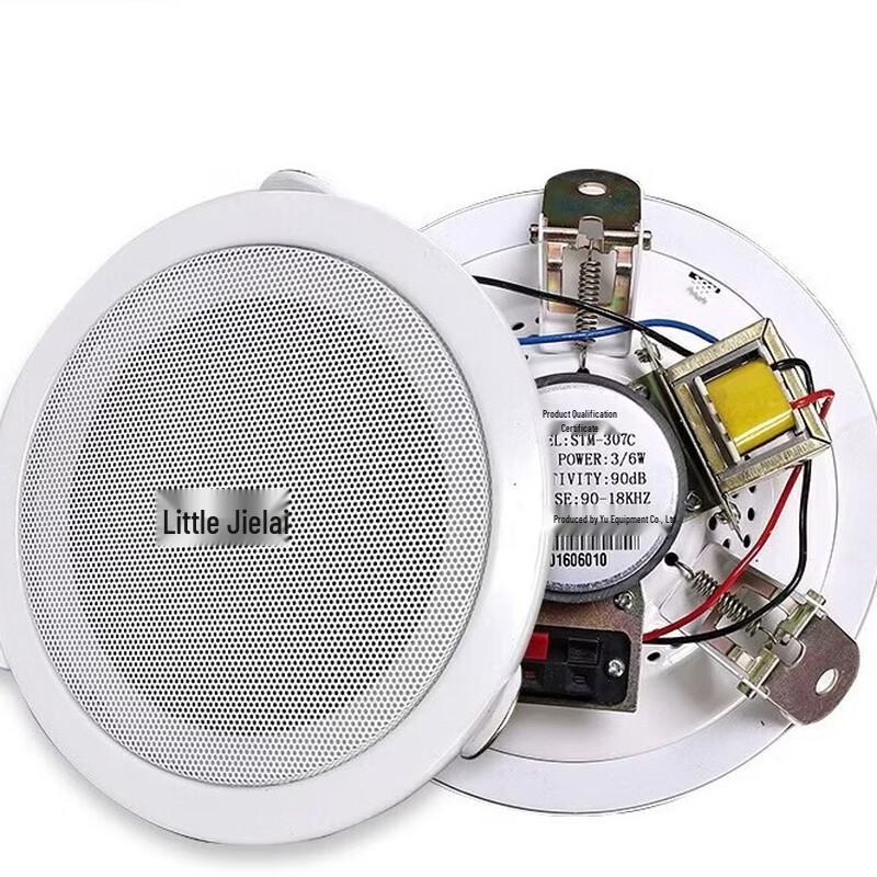 Brangdy All-Metal Public Address Ceiling Speaker