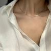 Titanstahl nicht verblassende Schlangenknochenkette Nischenhalskette Damen leichte Luxus-Halskette High-End-Schlüsselbein-Kette Ins-Kalt-Stil Zubehör
