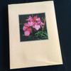 [USED] Orchids, botanical art, illustrated book, orchids, foreign books, orchids, orchids, flowers