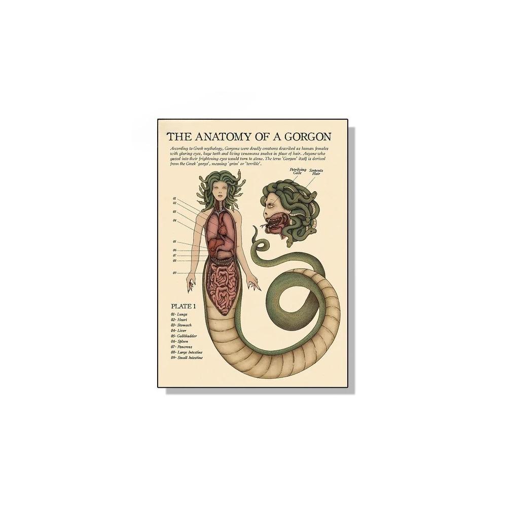 

Vintage The Anatomy Of Mermaid Harpy Gorgon Poster Print Canvas Painting Mysterious Creature Wall Art Room Home Decor Cuadros 20x30cm