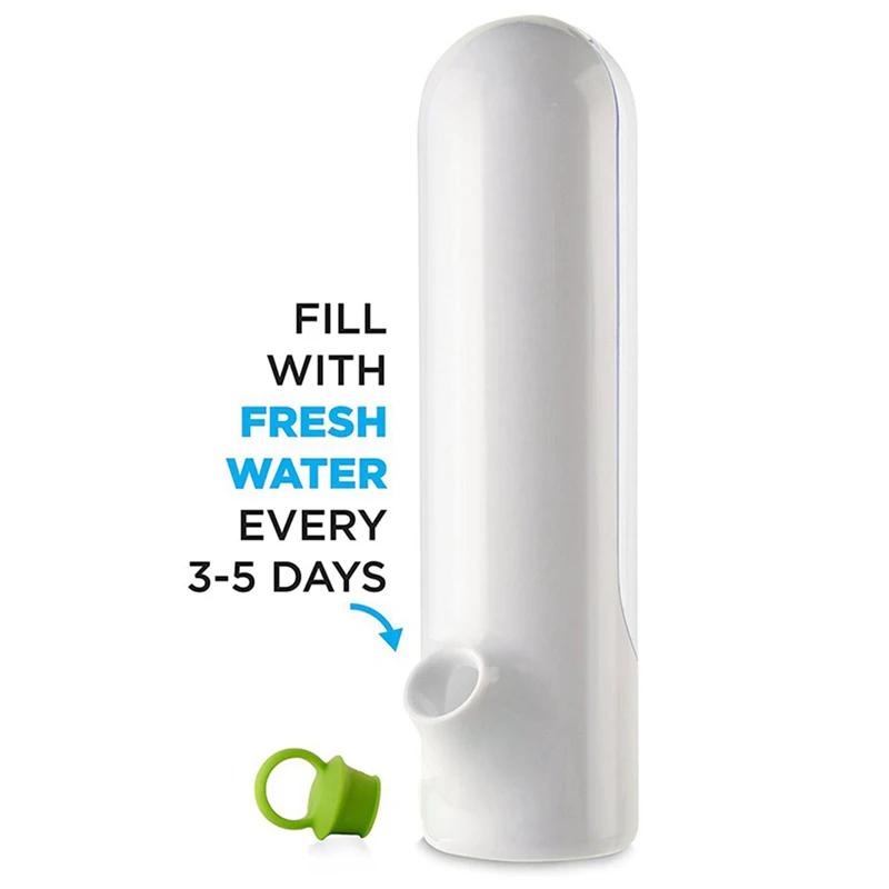 Vanilla Storage Vanilla Fresh Box Vanilla Fresher Cilantro Asparagus Vegetable Fresh Cups Refrigerator Storage1/PC