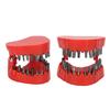 Denture Drill Bit Holder Teeth Model Shaped Full Opening Screwdriver Bit Organizing Holder with 28