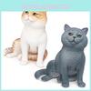 Realistische PVC-Katzenfigur – Lernspielzeug für Kinder und Dekoration für Zuhause