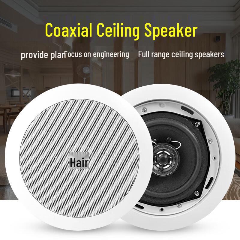 Di You Ceiling Speaker Public Broadcasting System CN Plug (adapter Included)