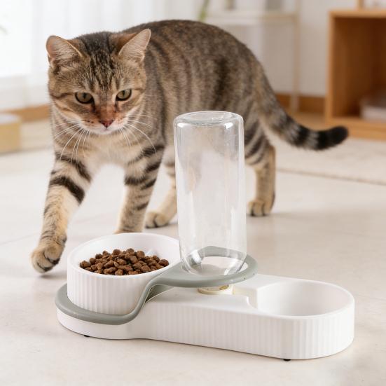 Dog Feeder Automatic Pet Water Dispenser Slow Feeder Bowl for Pets Anti-Choking Design Dry Wet Food Separation Bowl for Dog Cat