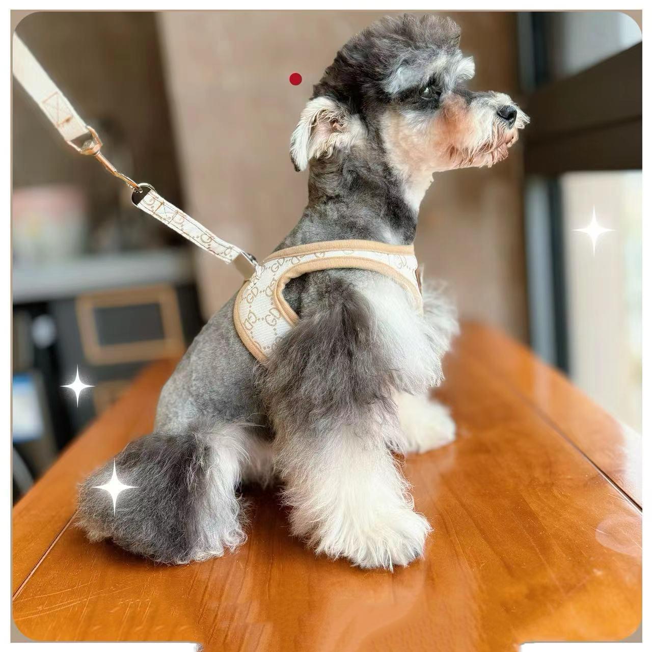 

Жилет для собак, тяговый трос, жилет, стиль, регулируемый, для кошек, собак, тяговый трос для домашних животных, бронзирование, уличный, против выпадения, модные товары для животных S