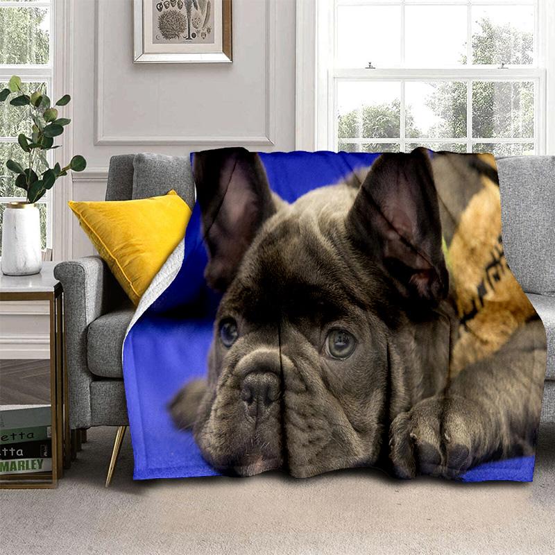 3D Francouzský Pit Bull Pes Domácí Mazlíček Kreslenádeka, Měkká Přehozovádeka pro Domov Ložnici Postel Pohovku Piknik Cestování Kancelář Krycídeka Děti