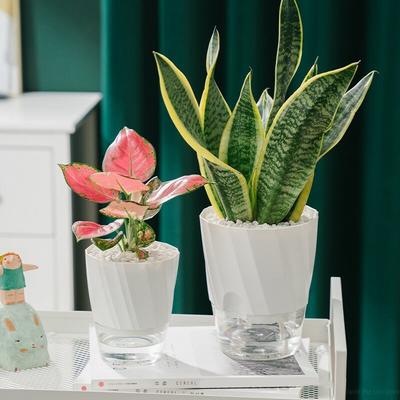 Lazy Self Watering Planter Pots Double Layer Hydroponic Flower Pot Succulent Potted Planters Bonsai Pot Home Office Garden Decor