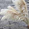 Yousheng 1/2/3/4/5Pcs Artificial Pampas Grass Bohemia Realistic Fluffy Fake Dried Grass Home Office Wedding Party Table Centerpiece Boho Decor