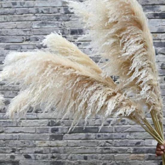 1/2/3/4/5Pcs Artificial Pampas Grass Bohemia Realistic Fluffy Fake Dried Grass Home Office Wedding Party Table Centerpiece Boho Decor