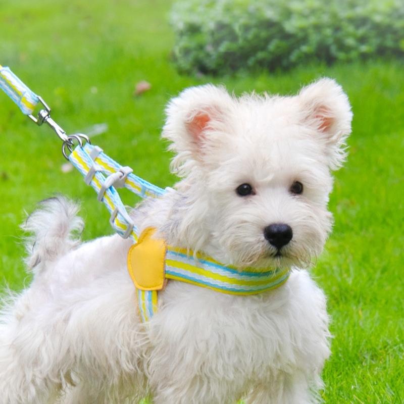 Padded Dog Walking Harnesses for Daily Use, Soft Chest Coverage with Flexible Pull Line and Rear Clip Point for Home Use