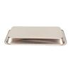 Stainless Steel Surgical Dental Tray Rectangular Metal Cosmetic Storage Tray for Nail Art Equipment