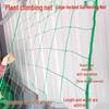 Garden Plant Climbing Net