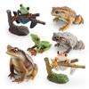 Childrens Wild Animal Pvc Collection With Realistic Tree Frog And Toad Figurines For Educational Play