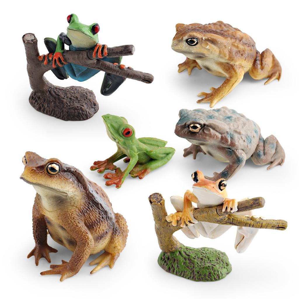 Childrens Wild Animal Pvc Collection With Realistic Tree Frog And Toad Figurines For Educational Play