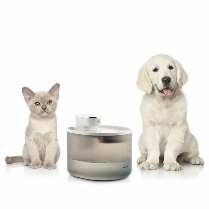 Fontaine Pour Chats - InnovaGoods - Rechargeable - 3 L - Silencieuse - Détecteur De Mouvement