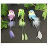 Colorful Simulation Birds Photography Props with Clip Decorative Fake Bird Home Decor Artificial Foam Feathers Birds