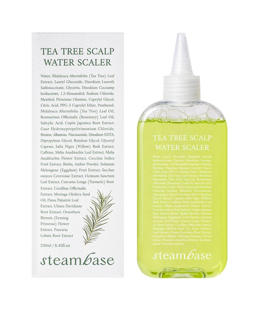 Solve Scalp Odor Problems: Tea Tree Scaler 250ml (2 Pieces)
