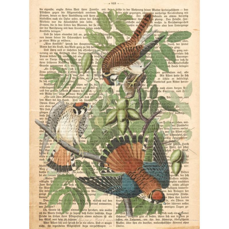 Garden Birds Prints On Old Antique Book Page Botanical Animals Poster and Prints Painting Wall Pictures Living Room Home Decor