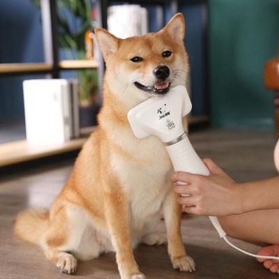 Kediler Köpekler Temizleme için Pet Saç Kurutma Makinesi Elektrikli Pet Saç Tarak