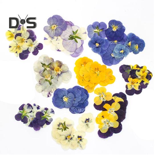 

24 шт. натуральных прессованных сухоцветов, сделай сам, искусство, поделки, украшение на торт, коктейли, ювелирные изделия из смолы, скрапбукинг, закладки, изготовление красочных прессованных разноцветный