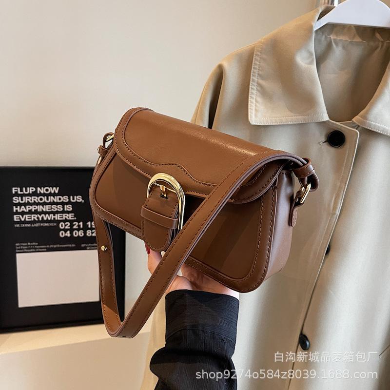 French niche popular armpit small bag women's bag 2025 new trendy shoulder bag fashionable foreign messenger bag