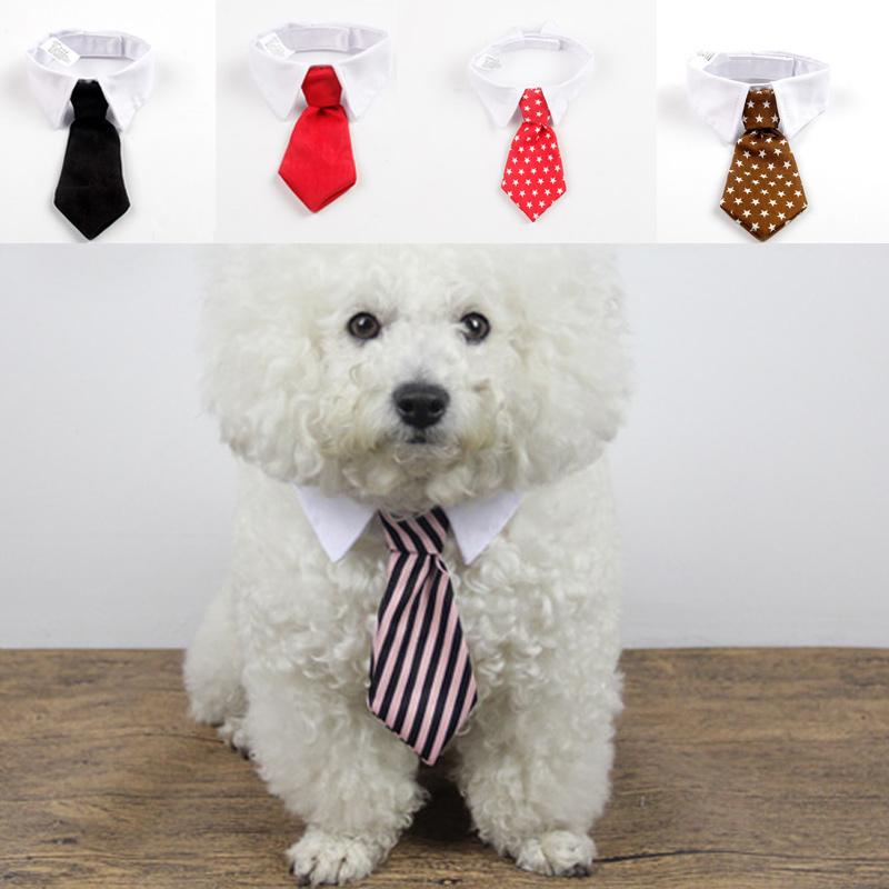 cute pet accessories