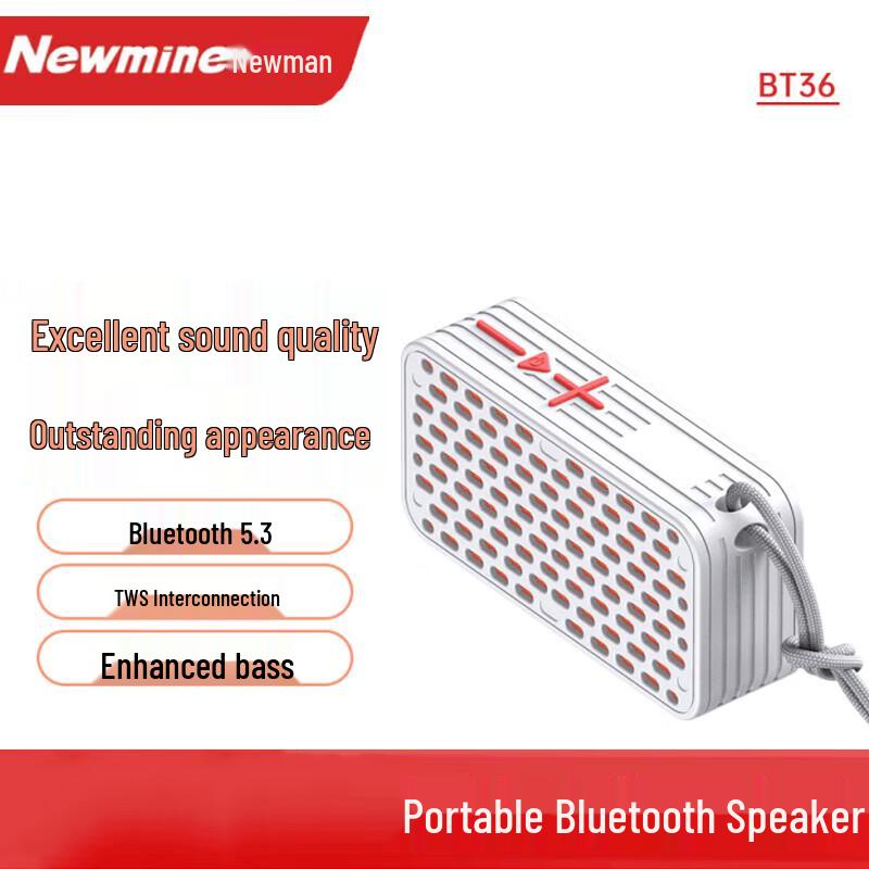 Newmine BT36 Portable Wireless Speaker CN plug (adapter included)