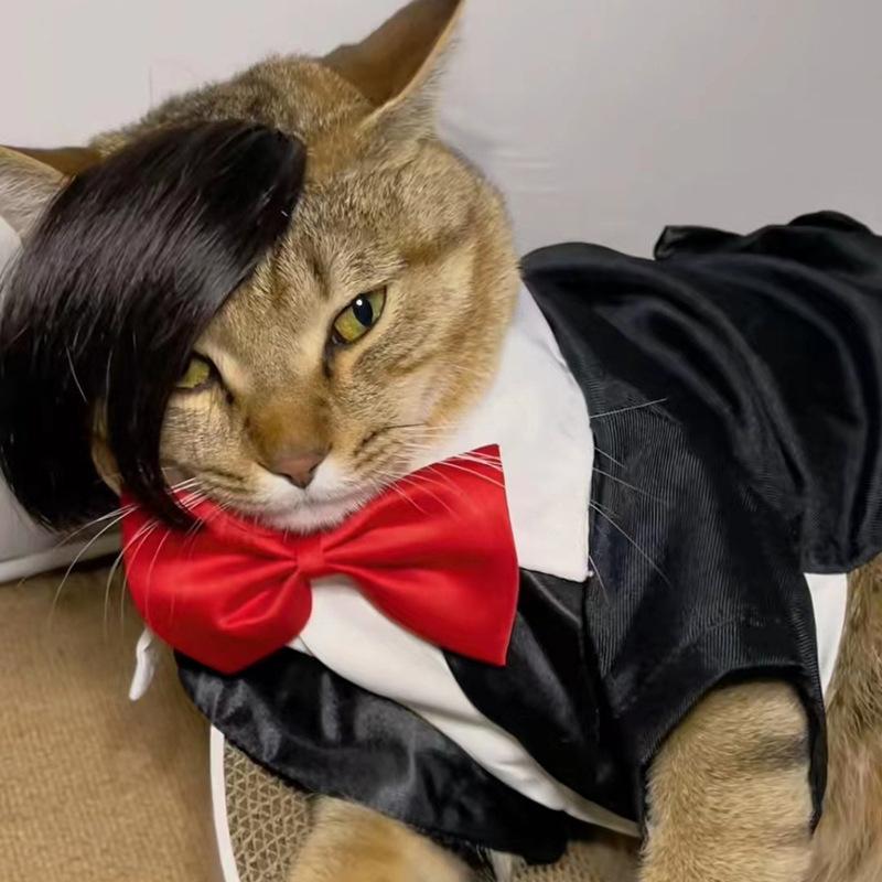 Pet Adorable Wig For Cats And Dogs With Lively Flipping Hair For Occasions Special