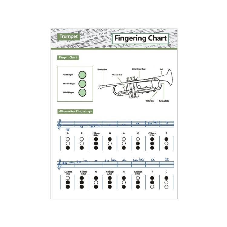

Trumpet Chord Finger Chart With Visual Finger Positions Music Teaching Accessory For Learning And Portable Resource small