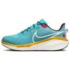 Air Zoom Vomero 17 PRM Teal Nebula Men's Running Shoes FN4268-300