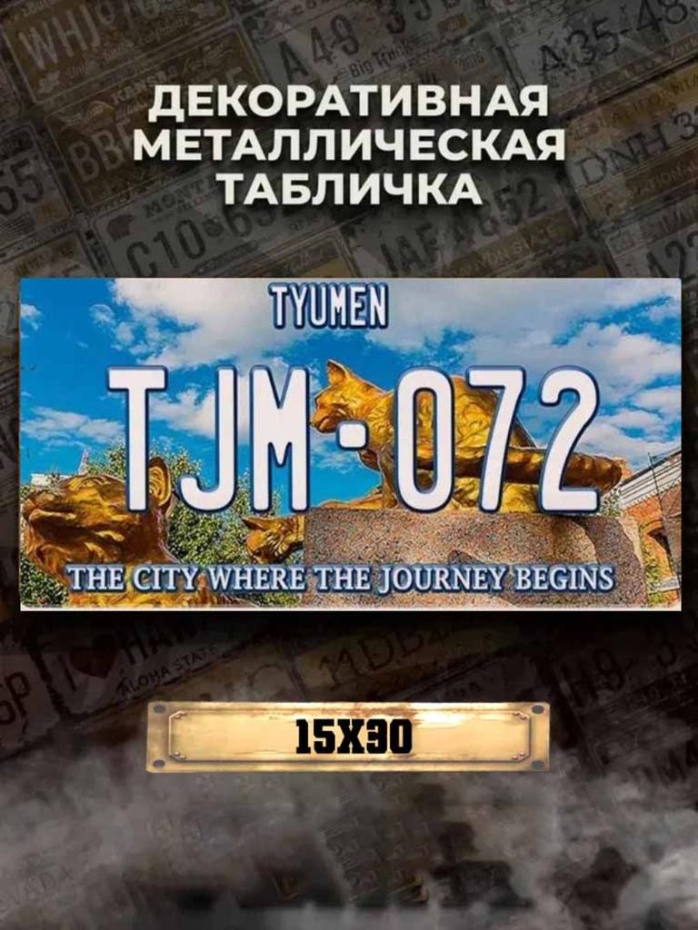Voronezh Russia Souvenir License Plate 15x30cm, Metal Car Decor Gift