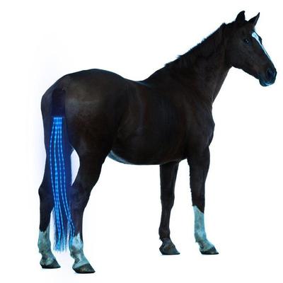 Luces USB de cola de caballo de 100CM, Crupper LED recargable, arnés de caballo, equipo ecuestre para deportes al aire libre, luces traseras para montar a caballo