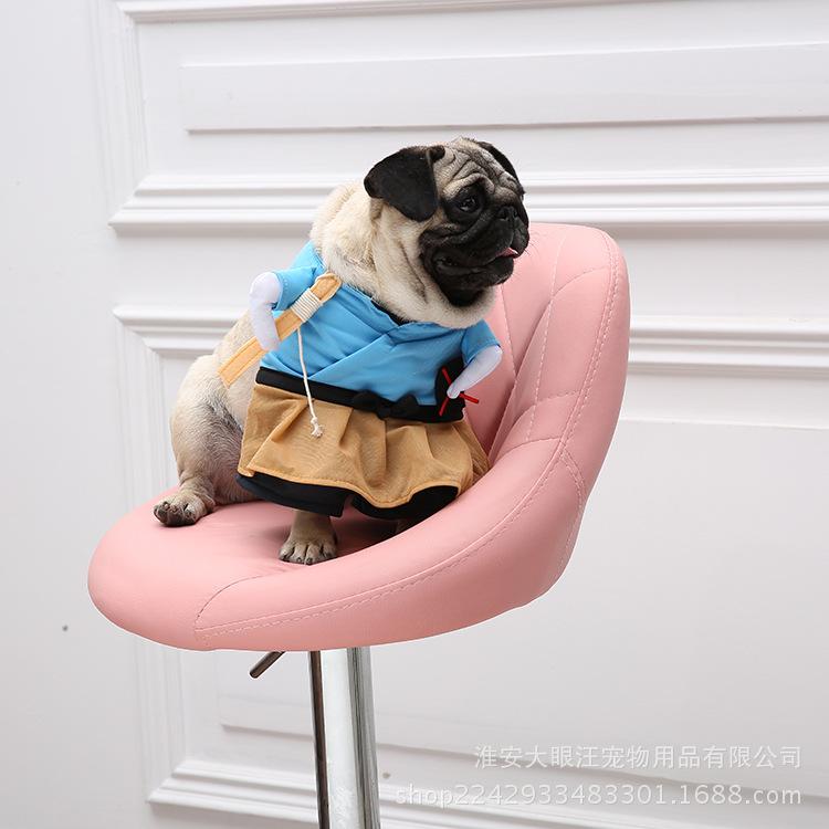 Dog funny clothes, Bug bull upright clothes, British short funny entertainment clothes, Bi Xiong standing clothes