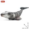 Oenux Ocean Animals Action Figures Sealife Shark Whare Megalodon Model Figurines PVC Home Decoration Kid Cognitive Education Toy