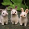 Rabbit Ornament Handmade Decorative Easter Needle Felted Baby Bunny Statue Home Supplies