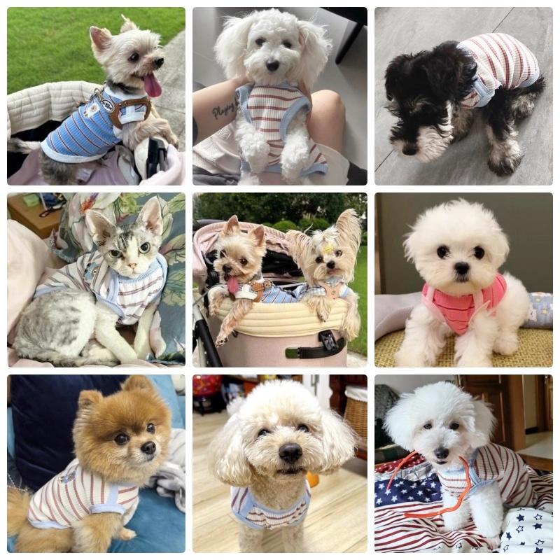 Soft Pet Dog Clothes for Small Dogs Summer Striped Dog Vest Fashion Puppy Pullovers Cute Thin Cat Vest Pet Costumes Dog T-Shirt