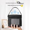 Medela Portable Breast Milk Cooler Bag