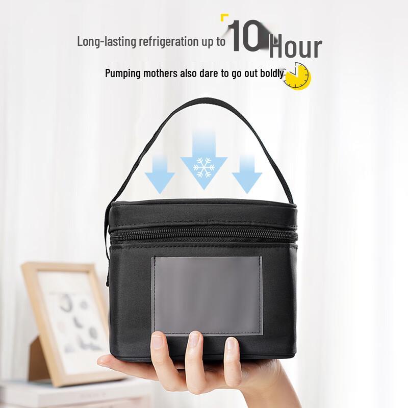 Medela Portable Breast Milk Cooler Bag