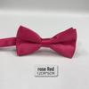 Papillon Monocolore in Seta Poliestere da Uomo - Senza Cravatta, Senza Nodo, Disponibile in Vari Stili e Colori