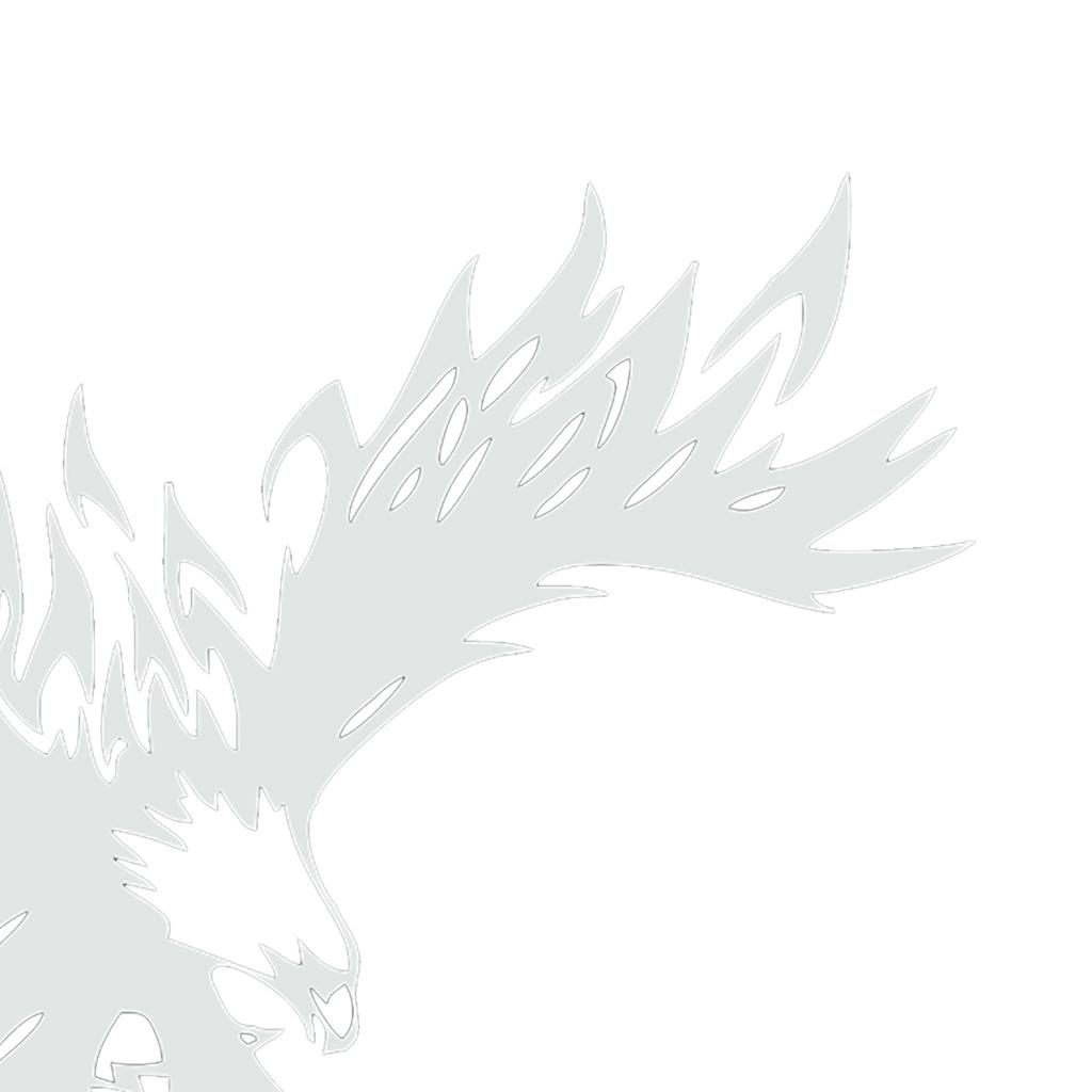 Eagles Car Decal DIY Styling Decorative Eagle Graphic Car Sticker Universal Auto Body Hood Decal