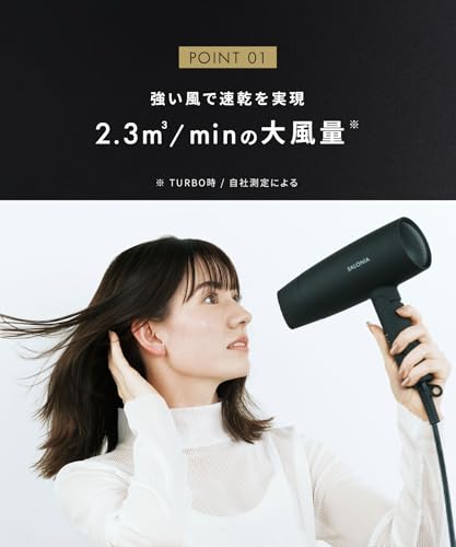 SALONIA Speedy Ion Hair Dryer, High Airflow, Fast Drying, Lightweight, Negative Ion Hair Dryer SL-013AGR, Gray [Amazon.co.jp Exclusive]