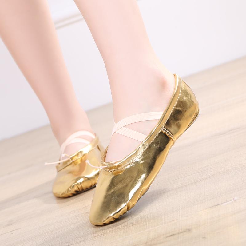 Women's Soft Sole Ballet & Dance Shoes - Gold/Silver, Cat Paw Design